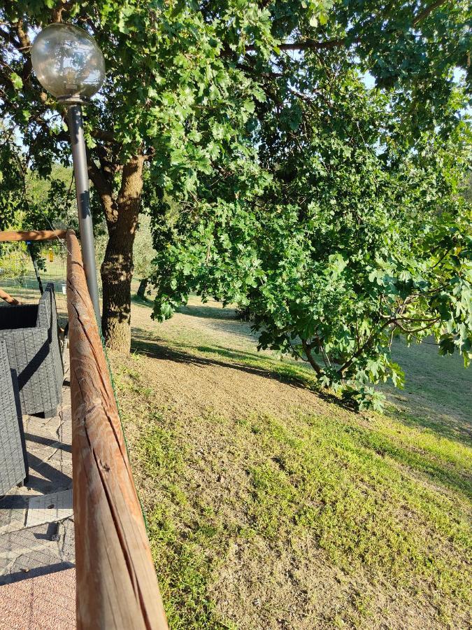 Apartamento il Diacciarello Gabbro Exterior foto