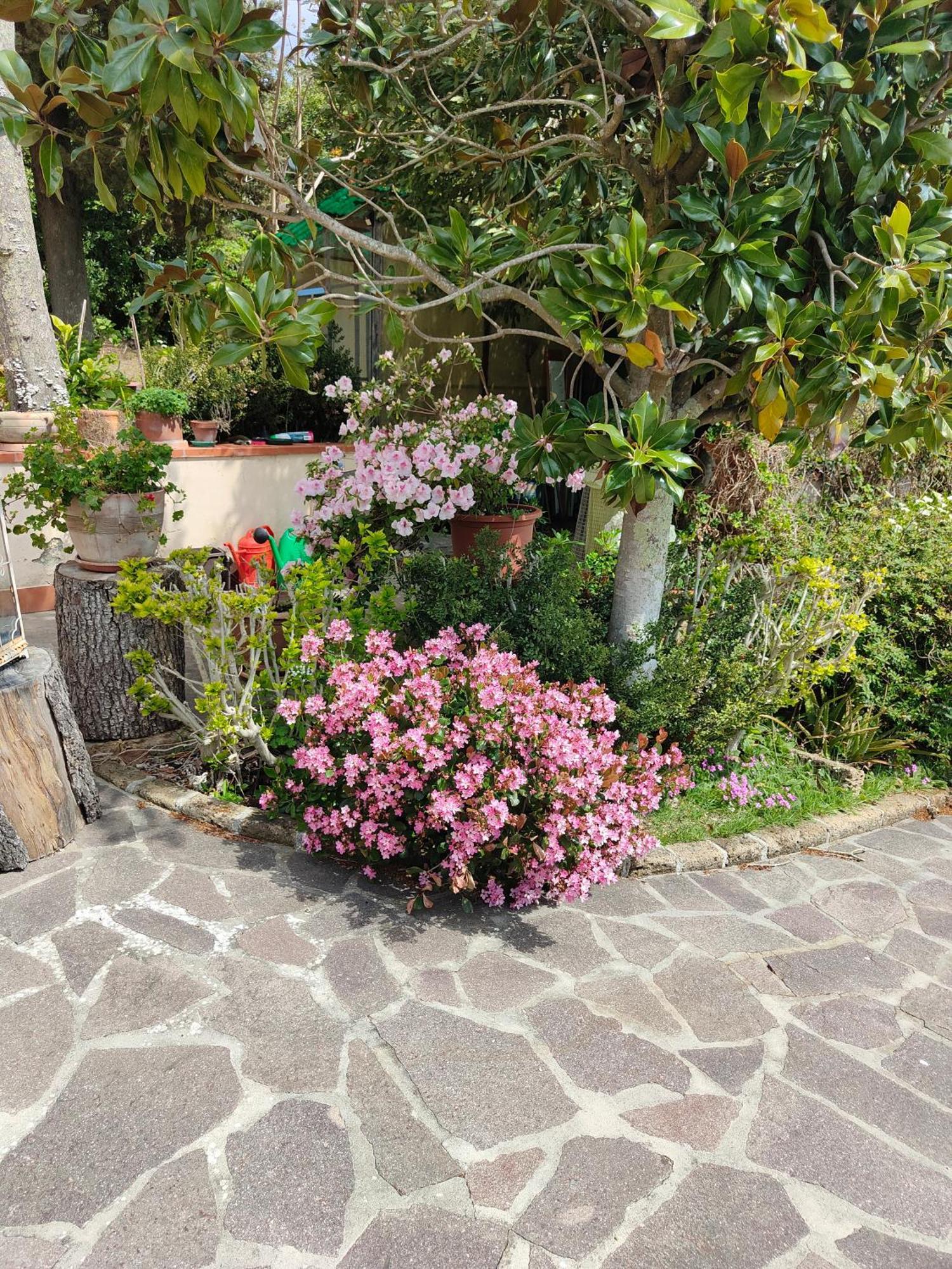 Apartamento il Diacciarello Gabbro Exterior foto