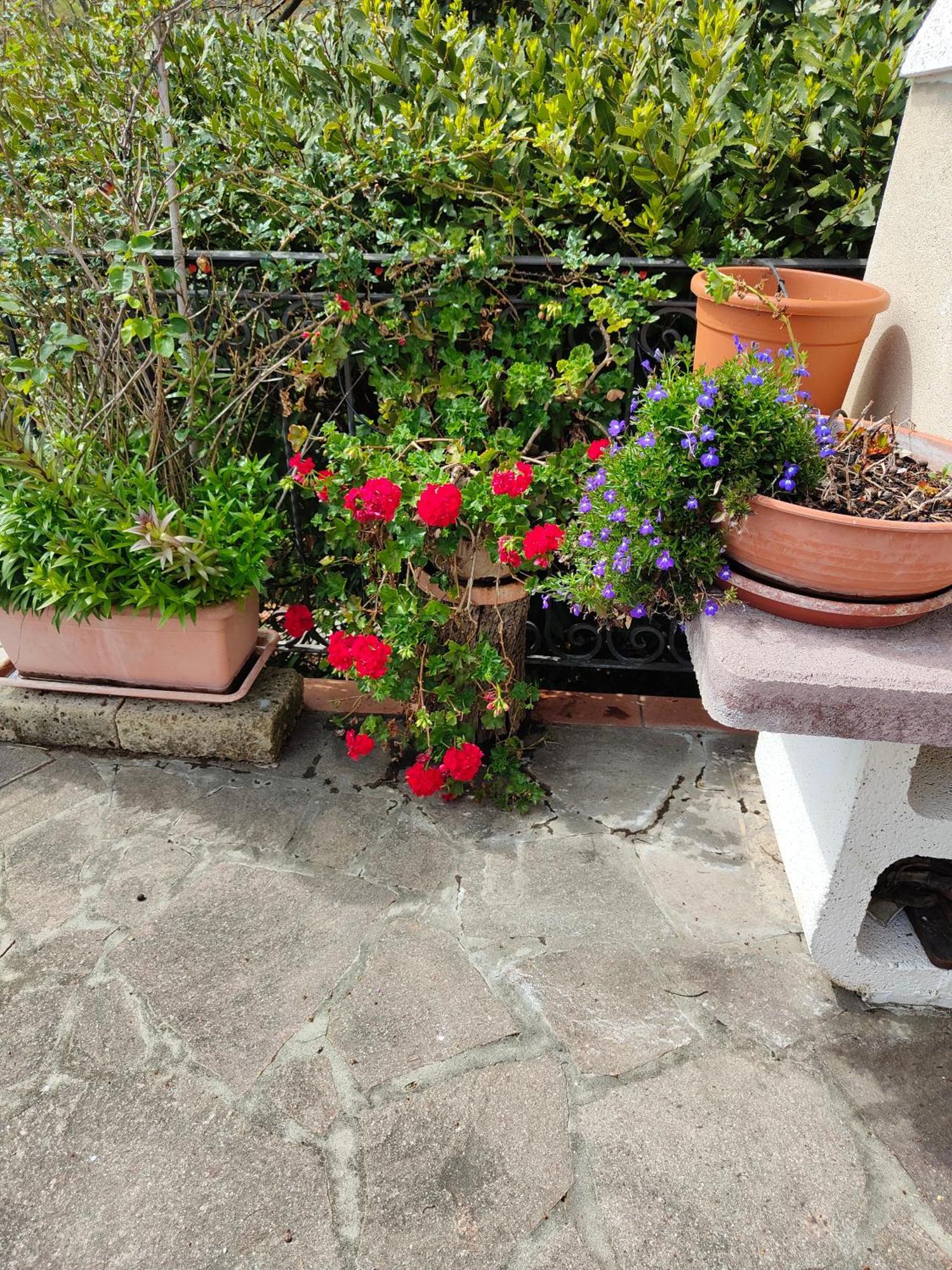 Apartamento il Diacciarello Gabbro Exterior foto