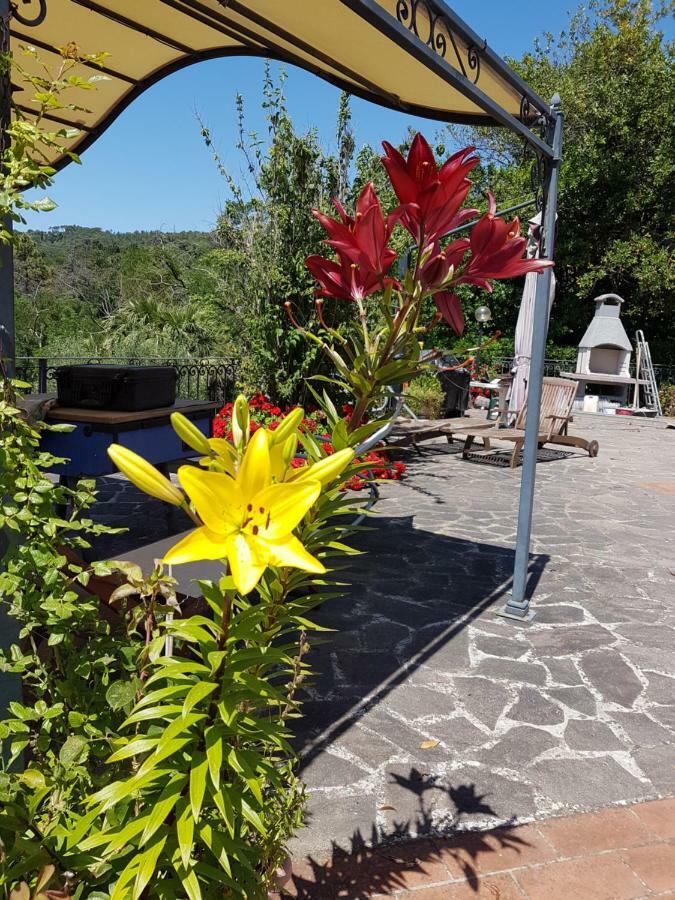 Apartamento il Diacciarello Gabbro Exterior foto